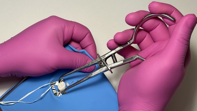 آموزش استادی سد لاستیکی در دندانپزشکی: از مبانی تا پیشرفته
