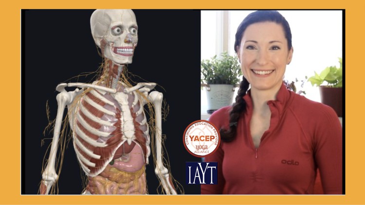 "آناتومی یوگا 2: مجموعه کارگاه های آموزشی تربیت مربی"

