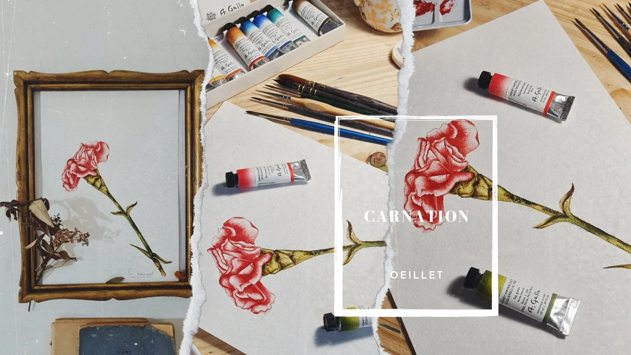 آموزش فروش گل میخک آبرنگی واقعی برای تمام سطوح
