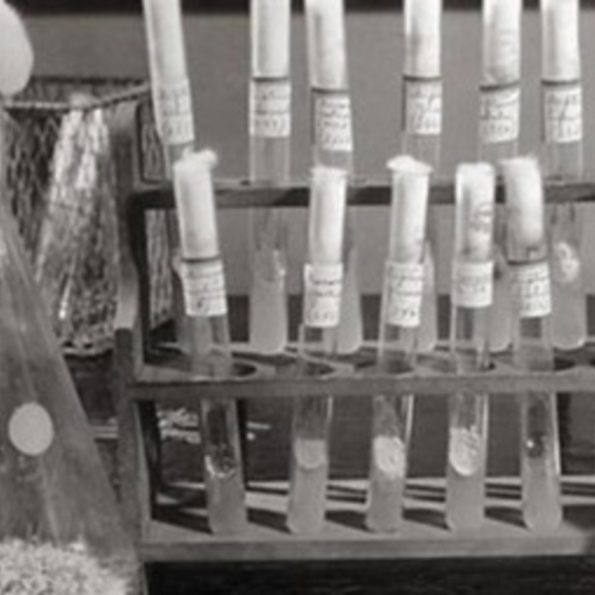 آموزش مدیریت مصرف بهینه آنتی‌بیوتیک‌ها (Antimicrobial Stewardship)