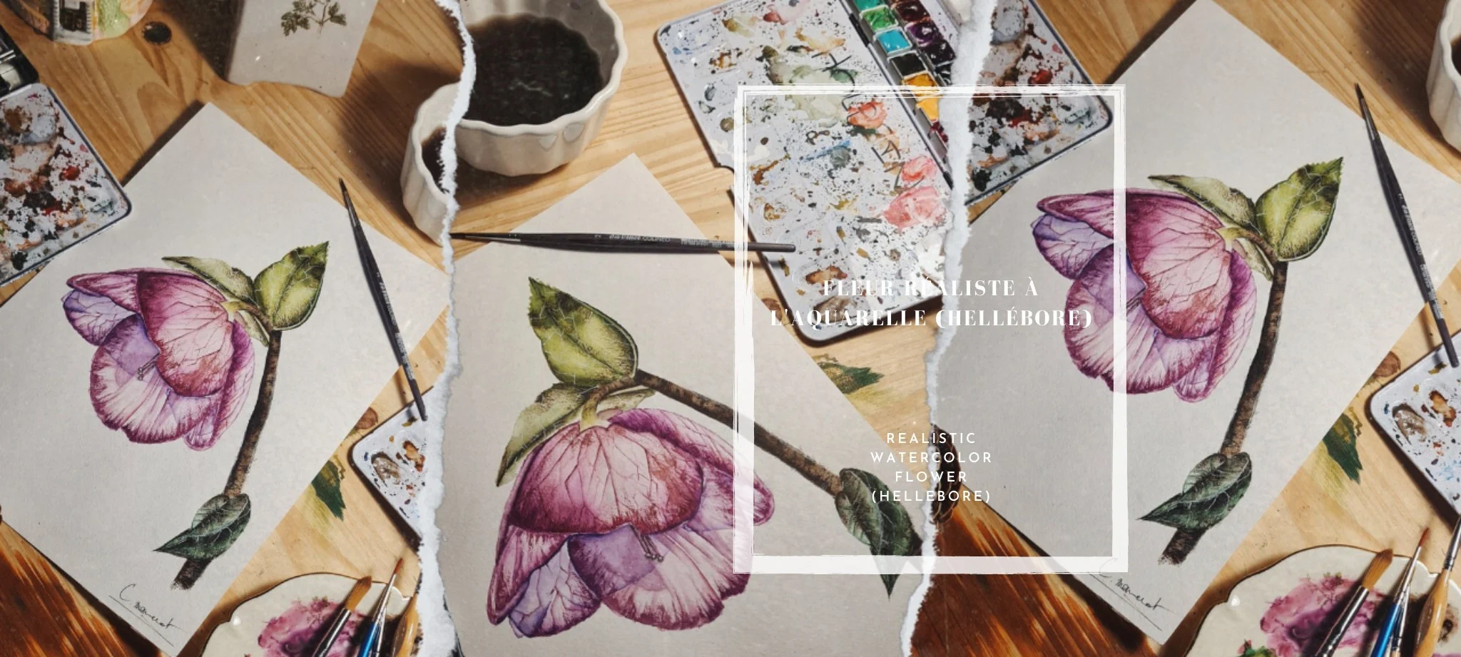 آموزش تکنیک های Fleur Réaliste à l'Aquarelle ، de Débutant à Expert: Hellébore