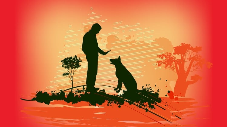 مفاهیم کلیدی در رفتار سگ و آموزش
