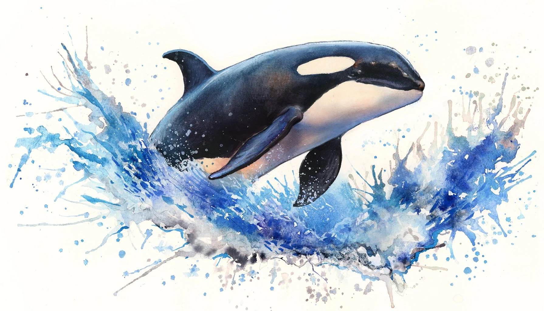 آموزش با تکنیک‌های آبرنگ بازیگوش، اورکای گویا رنگ‌آمیزی کنید
