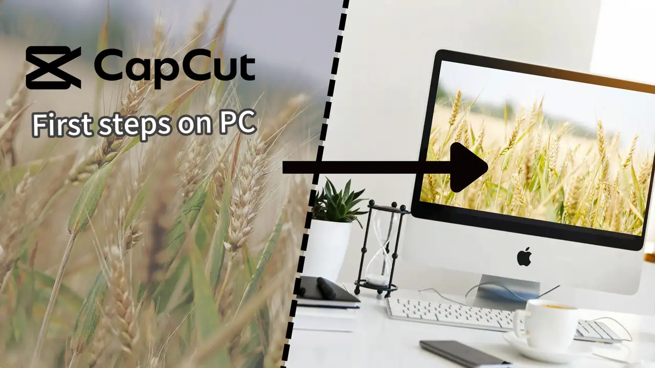 آموزش اولین قدم‌ها با کاپ‌کات در کامپیوتر
