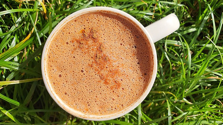 آموزش تسهیلگر مراسم کاکائو

