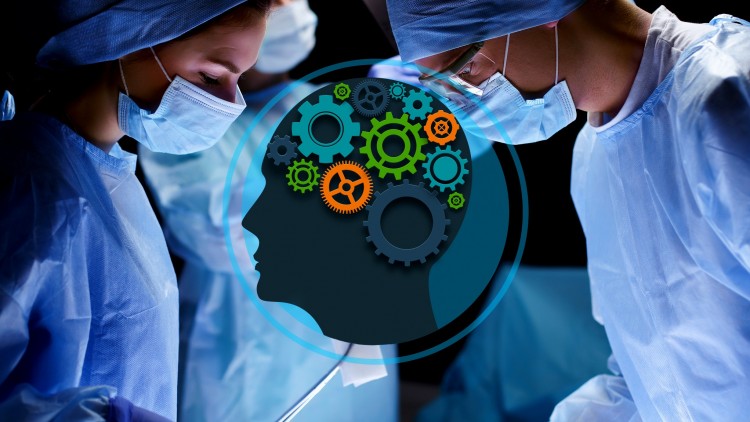 آموزش آناتومی مغز: یادگیری آسان و سریع علوم بیوپسیکولوژی
