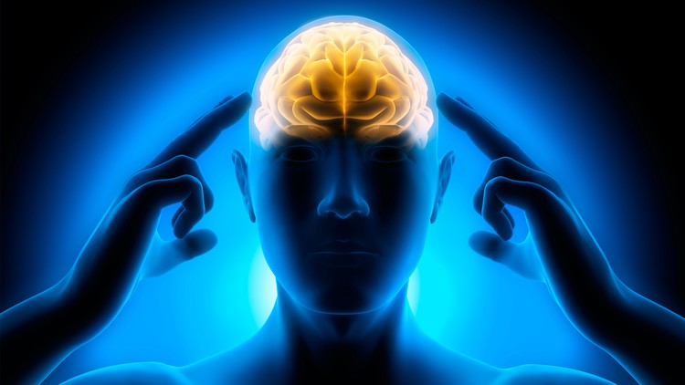 روانشناسی ورزشی کاربردی - گواهینامه آموزش مهارت‌های ذهنی
