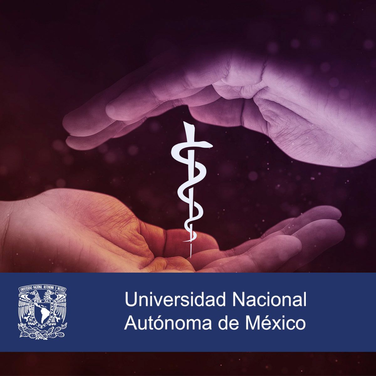 آموزش حل تعارضات اخلاقی در پزشکی