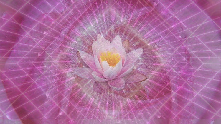 آموزش ترمیم 5 زخم روح
