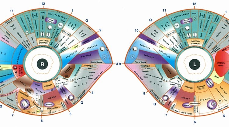 آموزش پیگمان‌ها و علائم عنبیه
