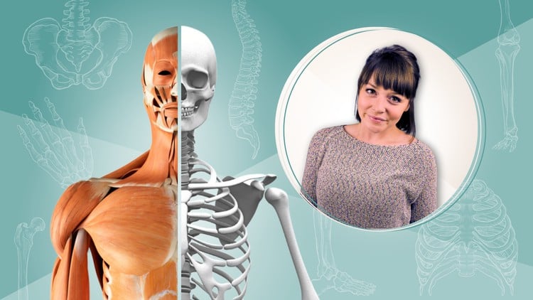 آموزش سیستم اسکلتی-عضلانی | آناتومی بدن انسان برای مبتدیان
