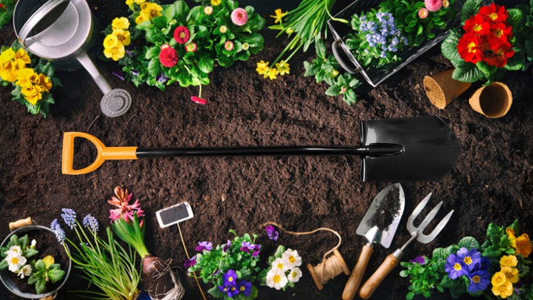 آموزش تقویم باغبانی: کارهای ماهانه باغ شما

