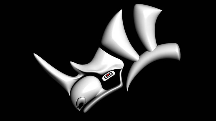 آموزش راینوسروس 3D: از صفر تا صد، مبتدی تا پیشرفته، قهرمان شوید
