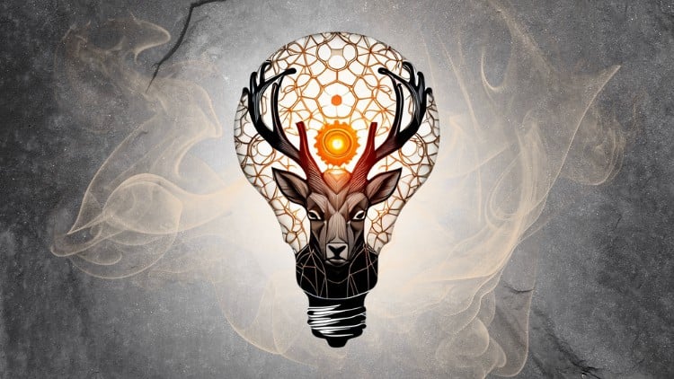 آموزش راهنمای کامل نگرش، قدرت ذهنی و تاب‌آوری
