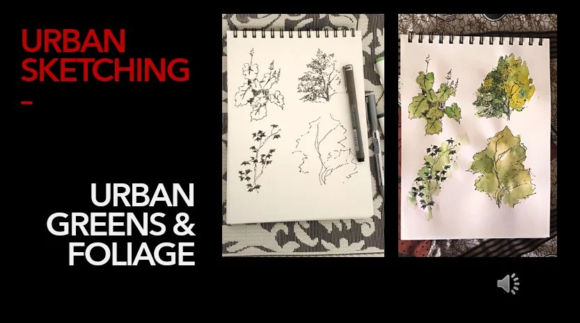 آموزش طراحی شهری: فضای سبز و پوشش گیاهی شهر
