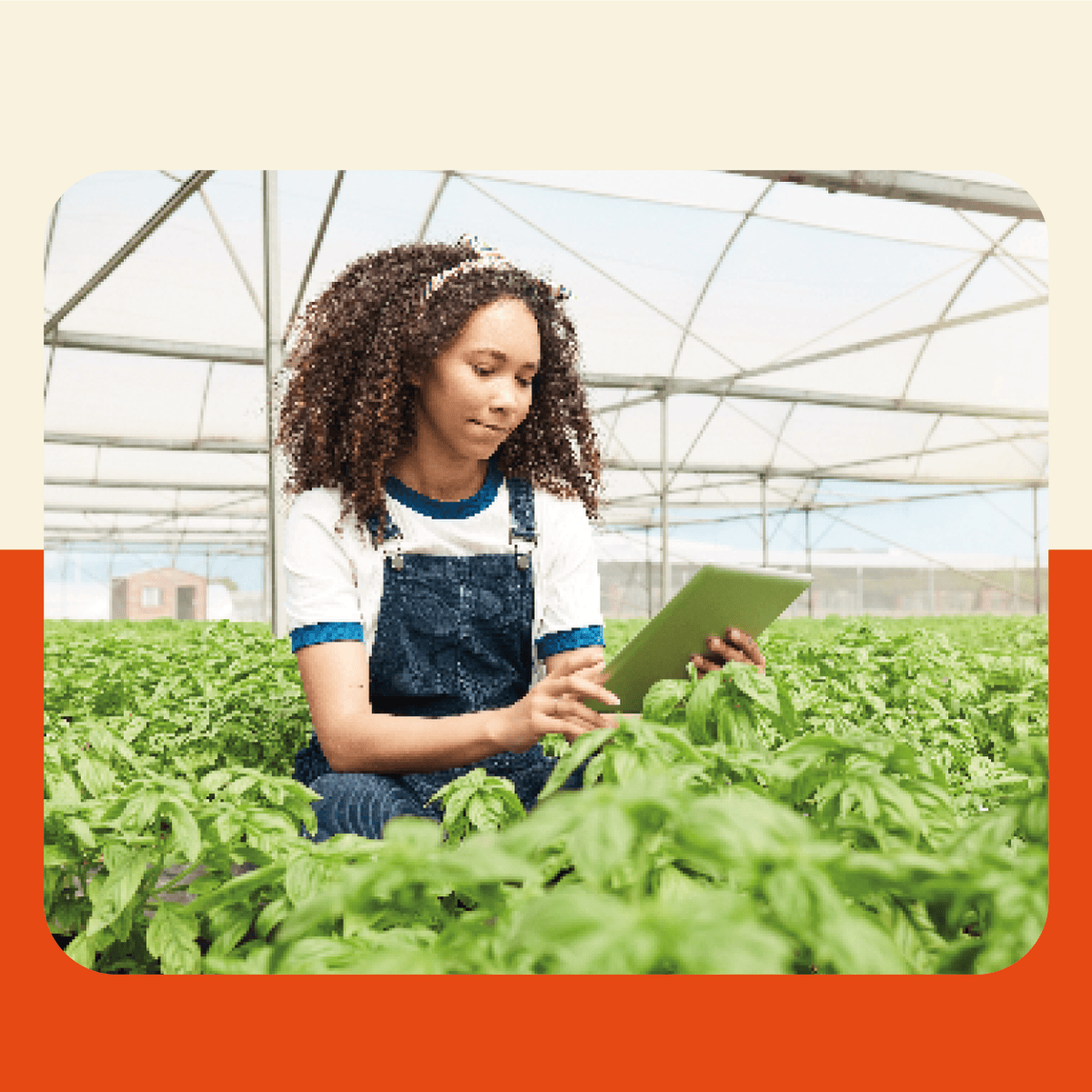 آموزش تأثیر دیجیتال پایدار: اکوسیستم‌های استارتاپی فناوری کشاورزی (Agritech)