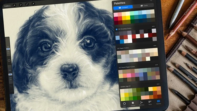 آموزش نقاشی با پروکریت
