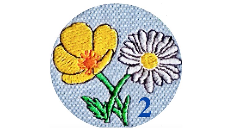 آموزش مونته‌سوری، دوره دوم ~ زندگی عملی
