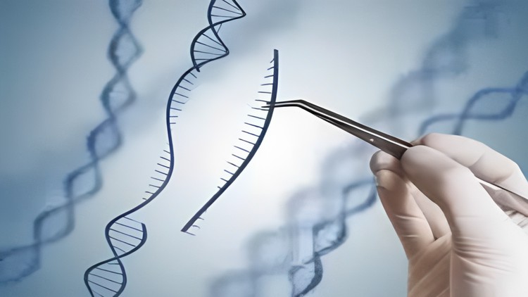 آموزش فناوری DNA نوترکیب و مهندسی ژنتیک

