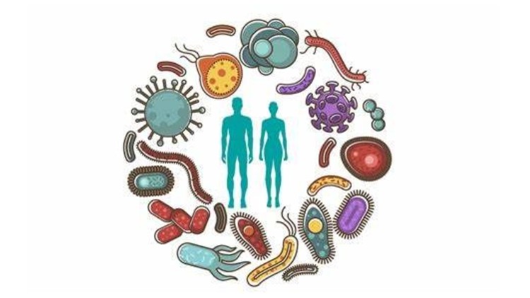 آموزش دوره آنلاین میکروبیوم

