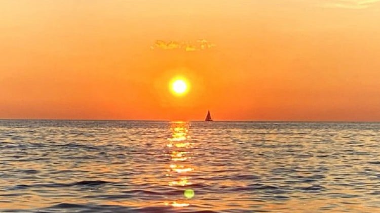 حل سوالات PMP: آمادگی برای آزمون PMP 2023

