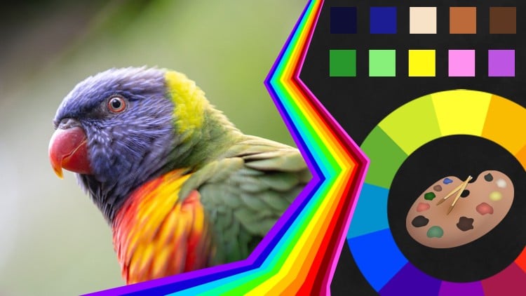 آموزش تئوری رنگ در هنر و طراحی: حرفه‌ای رنگ‌آمیزی کنید
