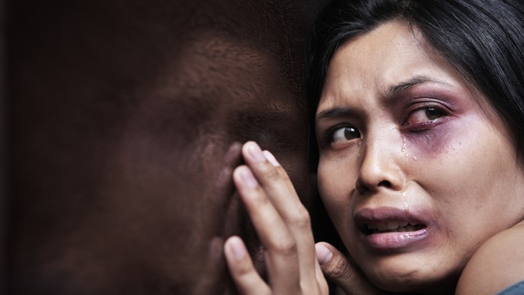 آموزش استودی‌گاید ۲۵: خشونت خانگی در کالیفرنیا
