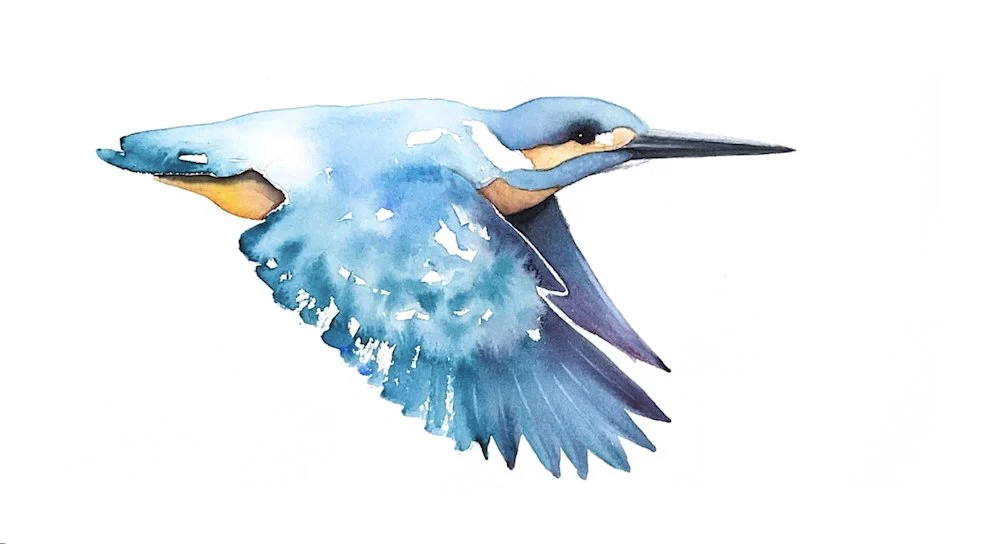 آموزش شاهین پرنده - ترکیب آبرنگ شل با جزئیات مناسب
