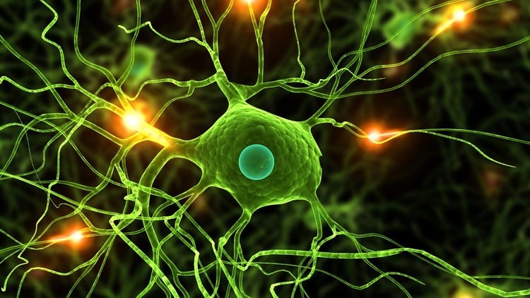 آموزش علم داده: یادگیری عمیق و شبکه‌های عصبی در پایتون
