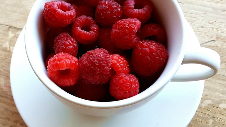 آموزش استفاده از غذا به عنوان دارو
