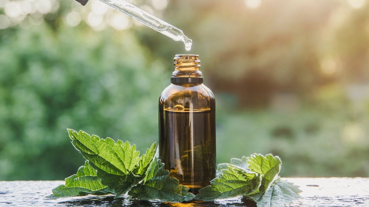 آموزش طب سنتی با گیاهان: اصول اولیه داروسازی گیاهی را بیاموزید
