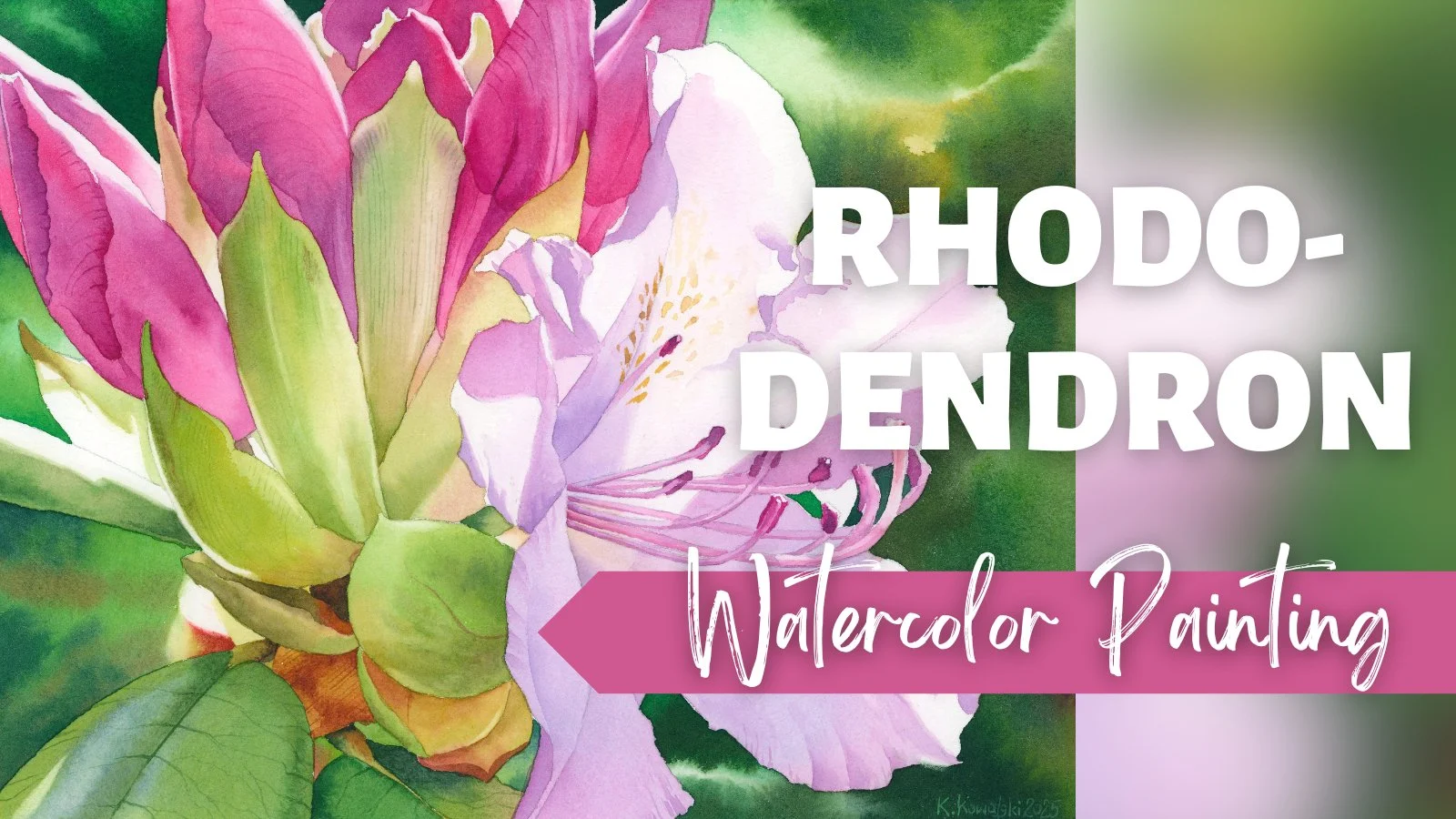 آموزش گوهر باغ: نقاشی گل صدتومانی با آبرنگ
