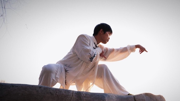 آموزش کونگ فو مشت مانتیس: هنرهای رزمی سریع برای مبتدیان
