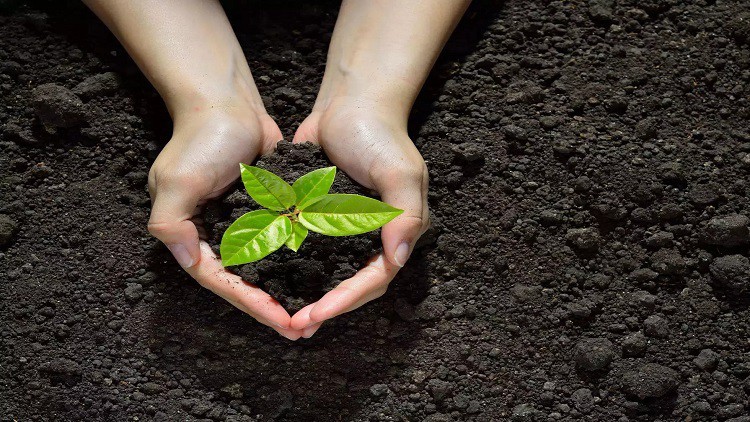 آموزش پیاده سازی ISO 14001 گام به گام با الگوها

