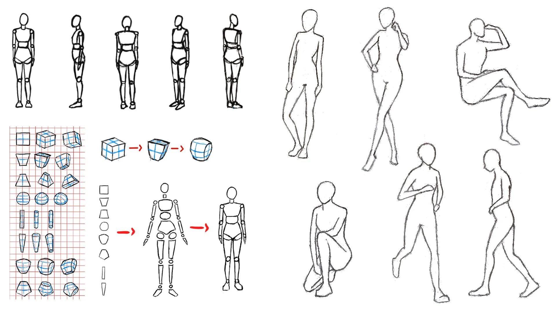 آموزش طراحی شخصیت برای مبتدیان: آناتومی آسان نقاشی

