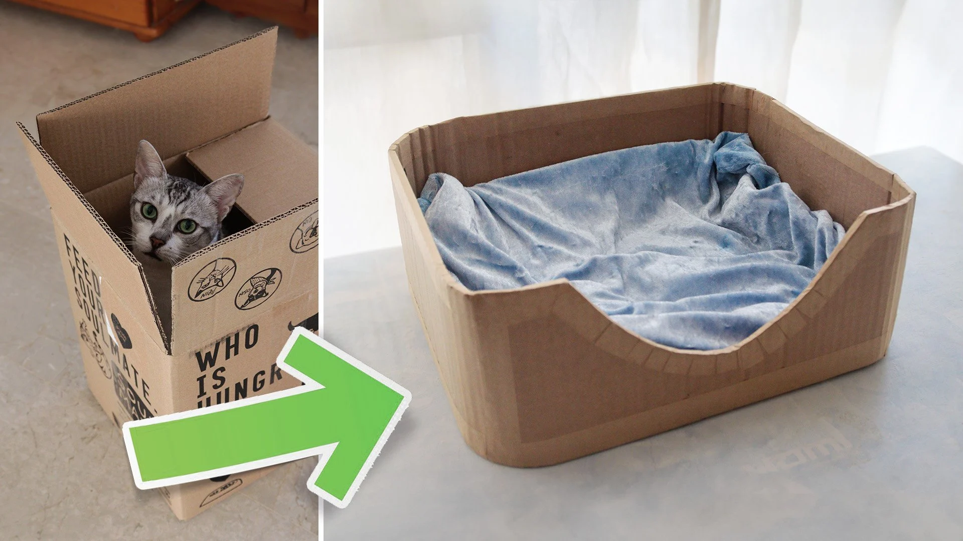 آموزش ساخت تخت گربه دنج با گوشه‌های گرد از جعبه مقوایی
