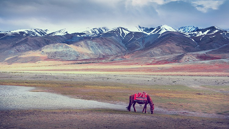 دوره آموزش عکاسی: از صفر تا صد
