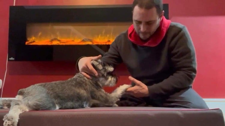 آموزش دوره مدرک ماساژ سگ
