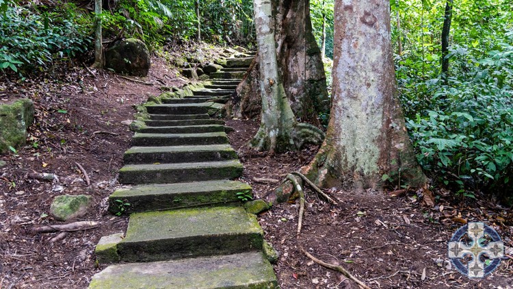 آموزش ارتباط روانی پیشرفته ترنس: گام بعدی معنوی

