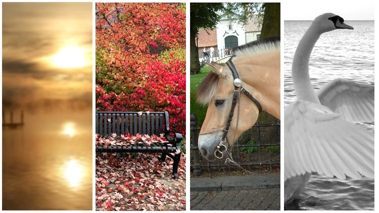 آموزش مدیریت و بازتولید رنگ در چاپ دیجیتال
