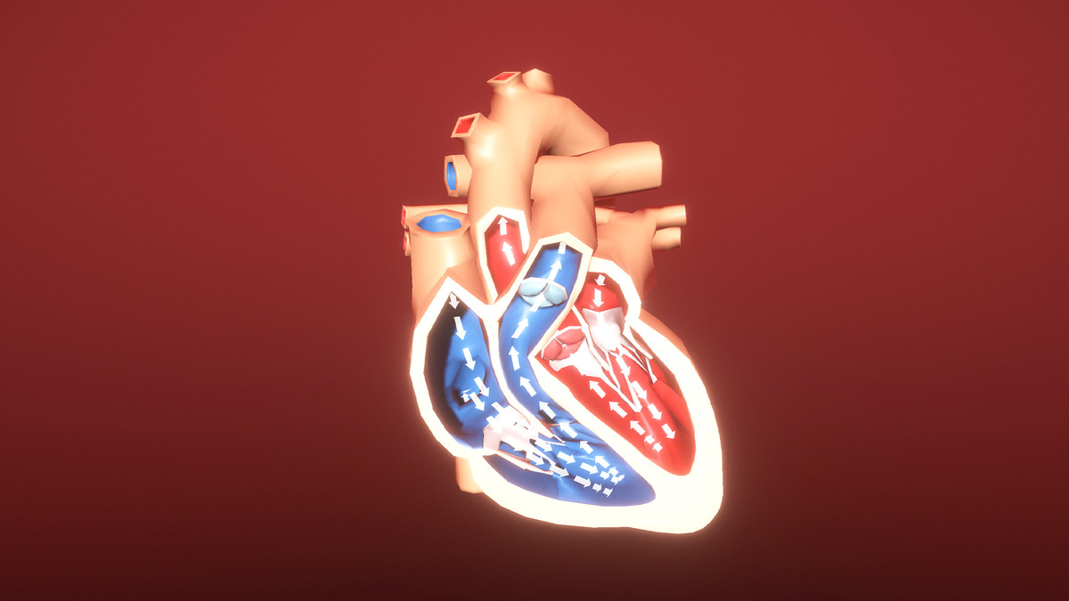 آموزش تجسم پزشکی وحدت: 03 استقرار و قابلیت استفاده