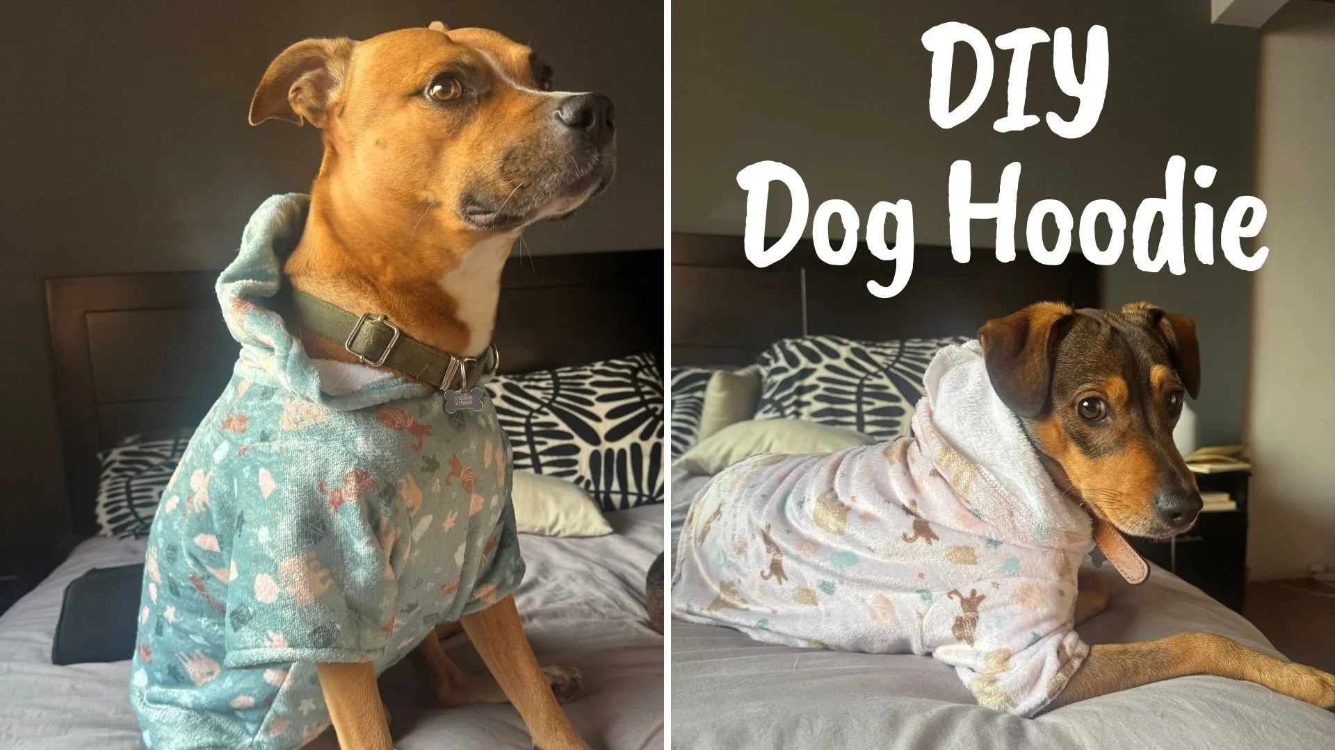 Hoodie Dog: نحوه کلون کردن + دنبال کردن آموزش الگوی