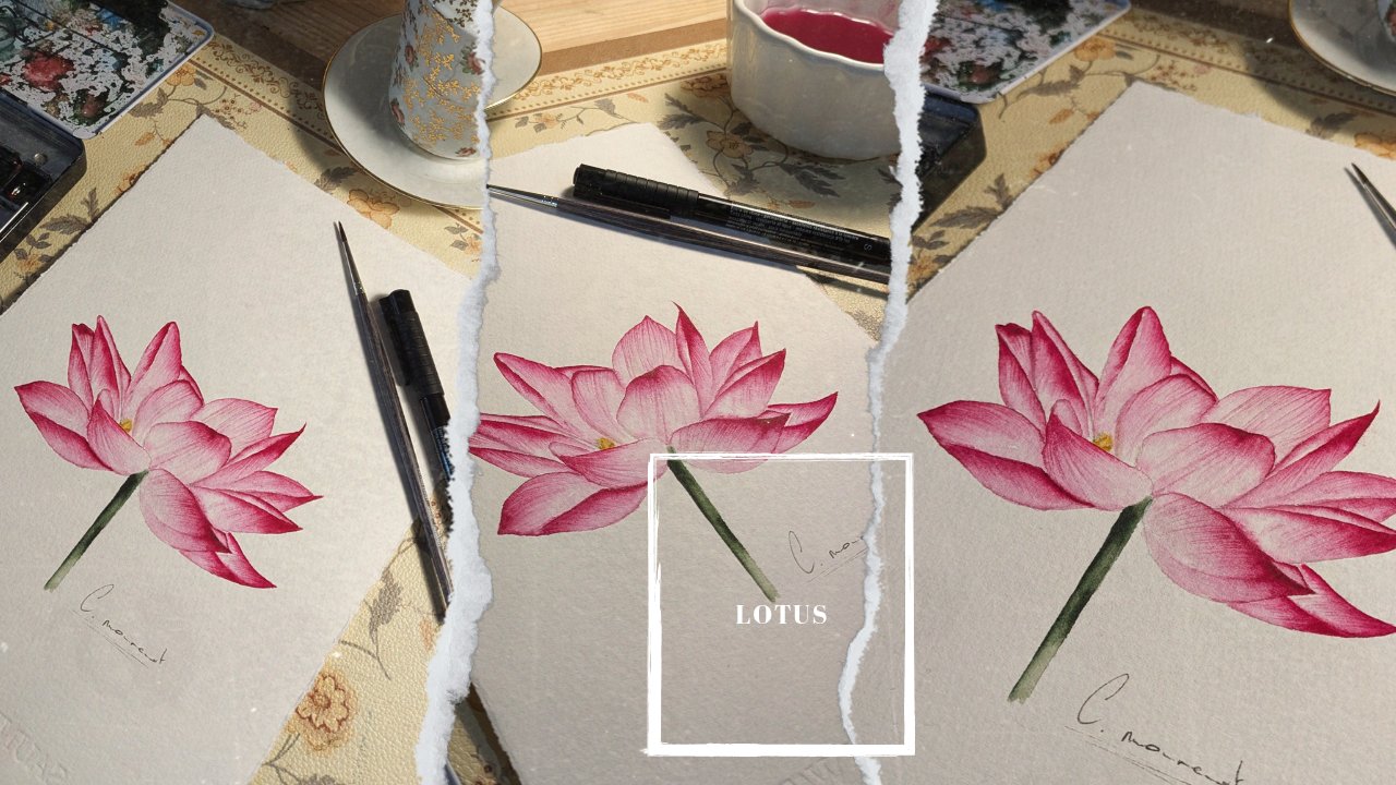 آموزش نقاشی آبرنگ واقع‌گرایانه گل نیلوفر آبی مقدس، مناسب برای مبتدی تا پیشرفته، با تاکید بر سایه، نور و بافت
