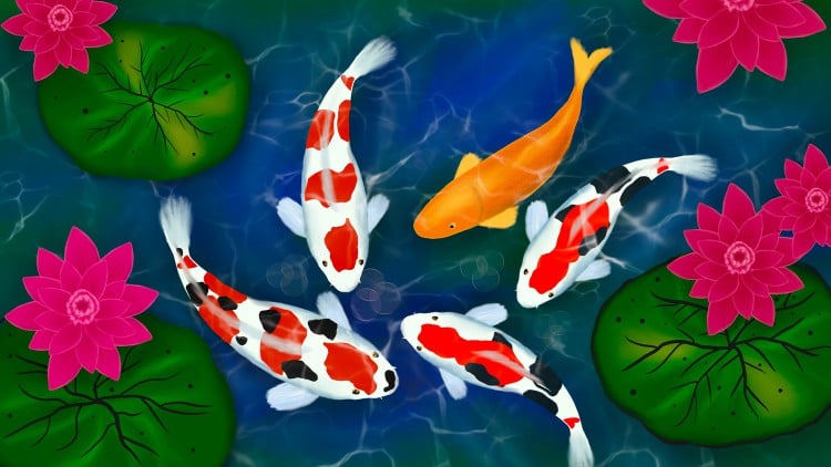 آموزش یادگیری شعر هایکو نویسی
