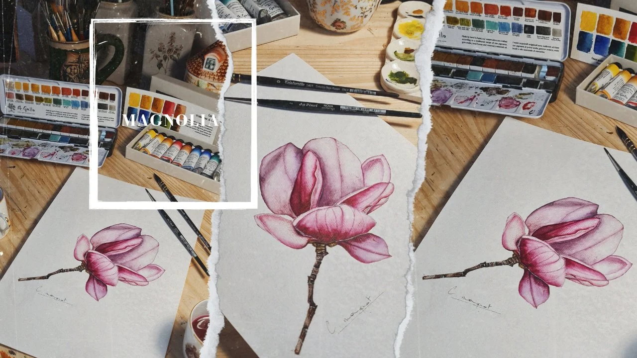 آموزش نقاشی آبرنگ گل مگنولیای واقع‌گرایانه با سایه، نور و بافت
