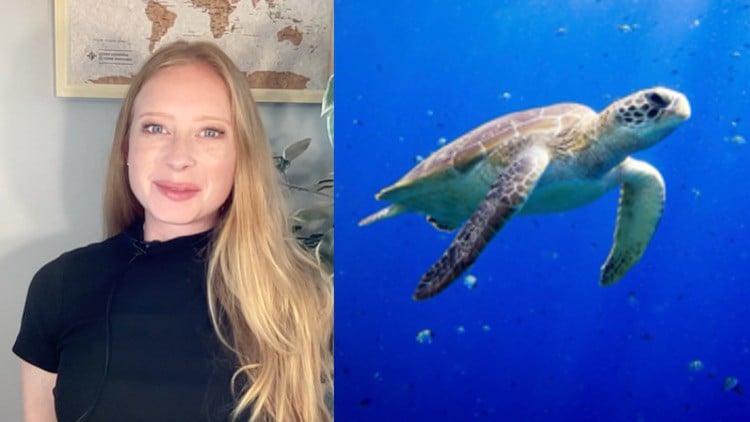 آموزش دوره کامل زیست‌شناسی دریایی ۱۰۱، از مبتدی تا پیشرفته
