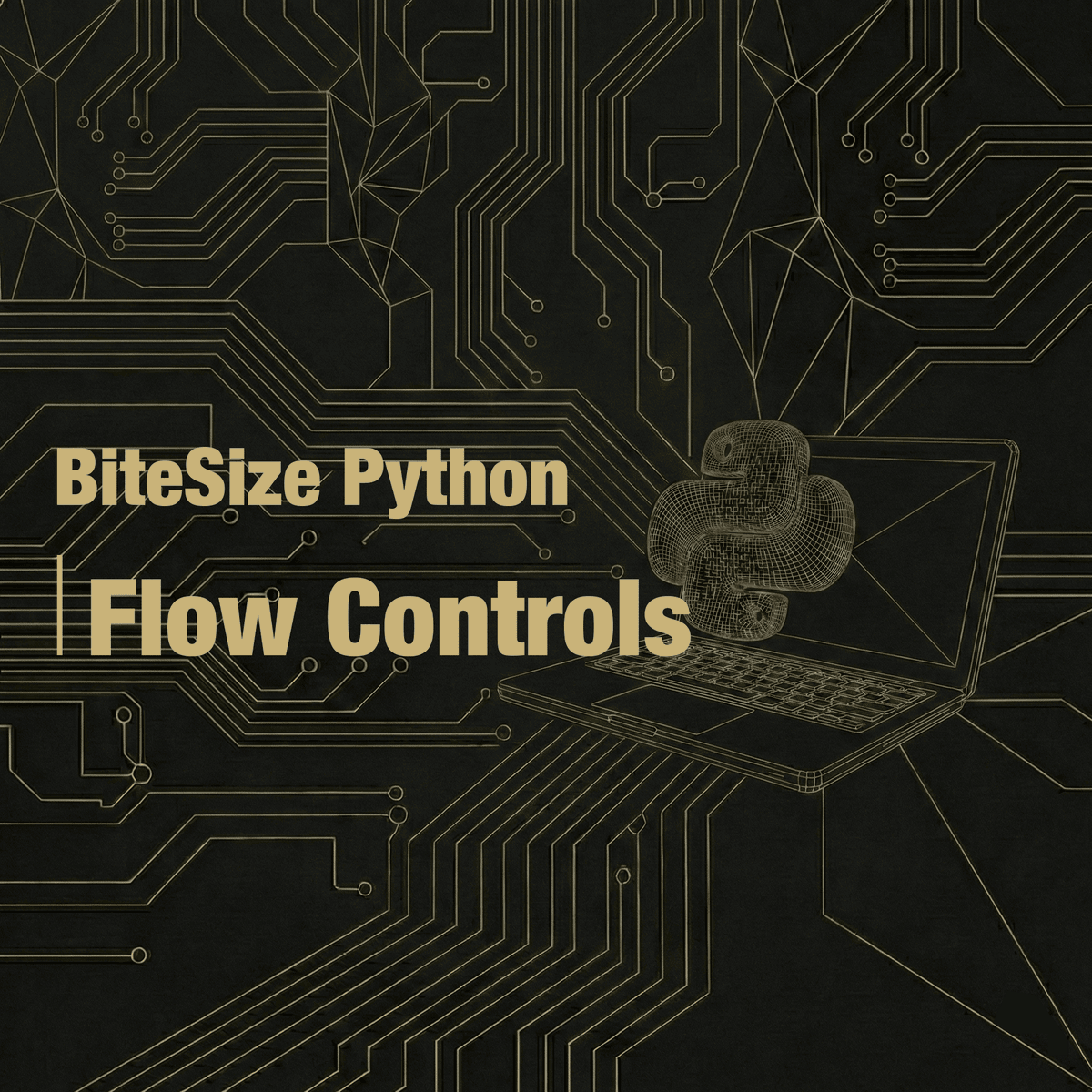 آموزش پایتون برای مبتدیان: کنترل جریان برنامه (Flow Controls)