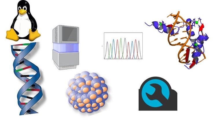 آموزش بیوانفورماتیک: یادگیری تحلیل داده‌های NGS از صفر

