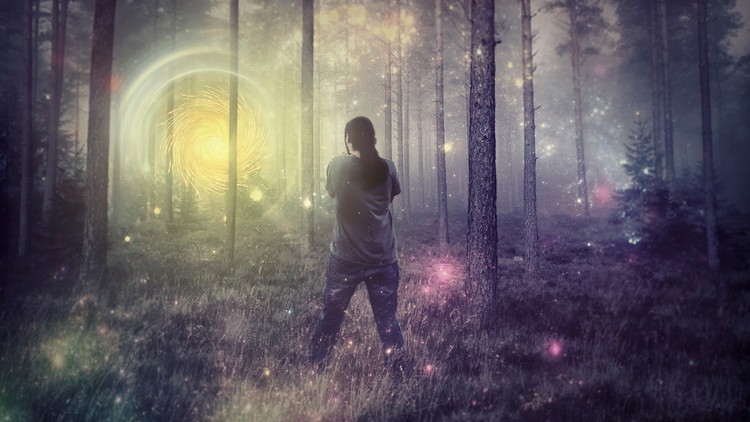 آموزش راهنمای مطالعه ۱۲: قانون مواد مخدر کنترل‌شده در کالیفرنیا
