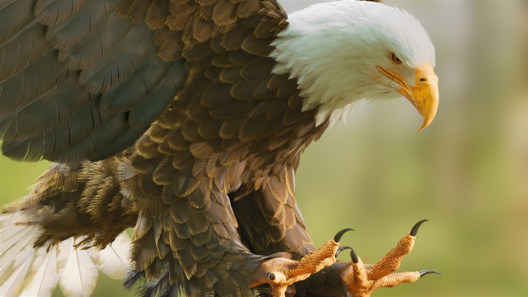 آموزش ساخت ابزارهای داخلی برای متخصصان هودینی
